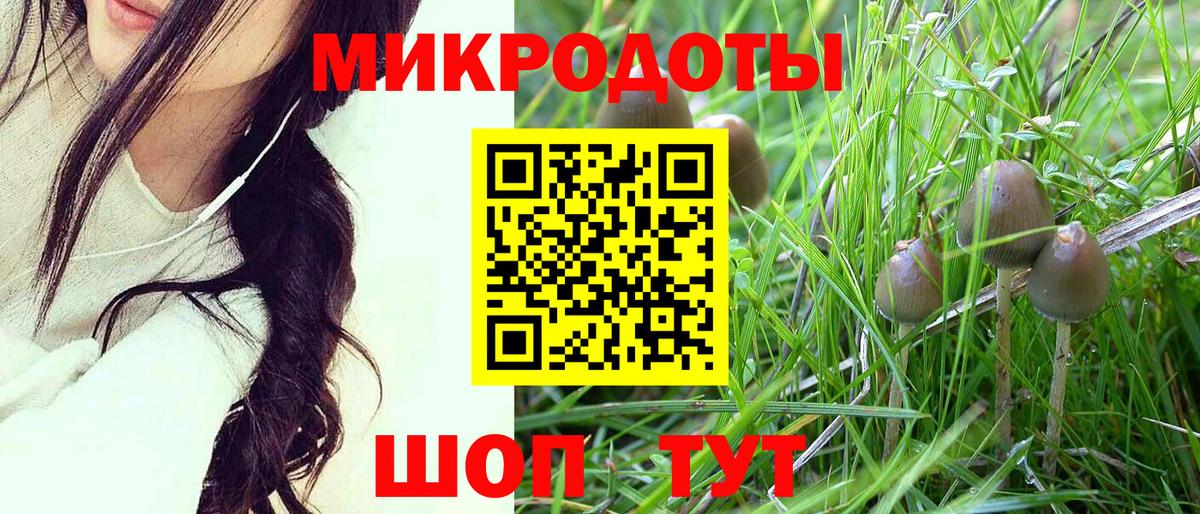 Галлюциногенные грибы прущие грибы Кропоткин