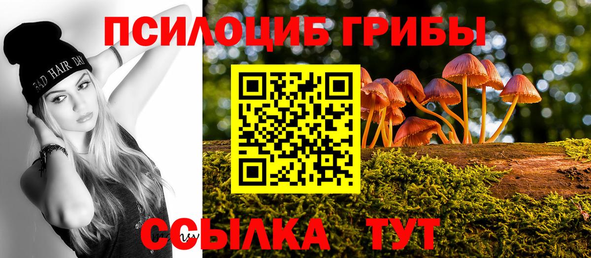 Галлюциногенные грибы GOLDEN TEACHER  Вход с VPN  Кропоткин 